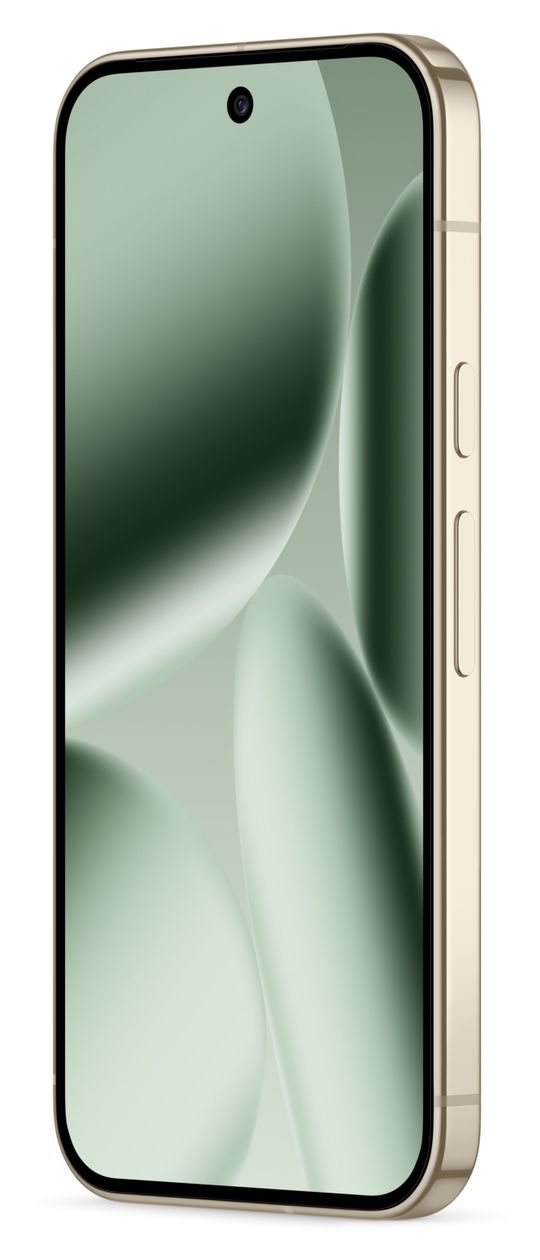 Pixel 10 Pro 256 GB 5G Smartphone 16 cm (6.3 Zoll) Android 50 MP Dreifach Kamera Dual Sim WiFi 7  (Grün) 