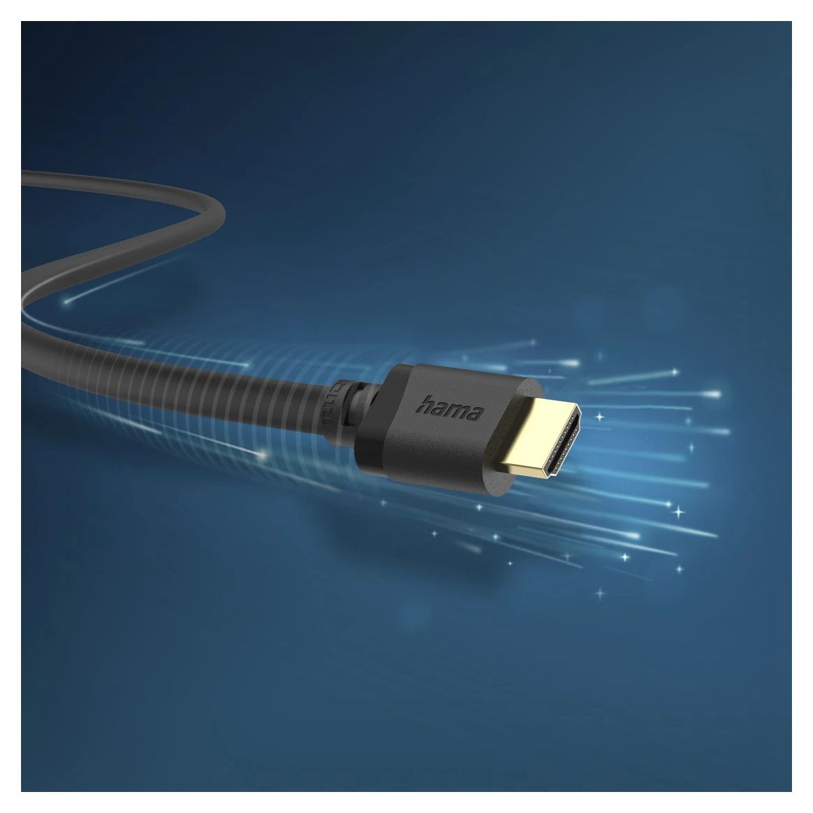 202031 48 Gbit/s Stecker Gerade HDMI auf HDMI Typ A (Standard) 2 m  (Schwarz) 