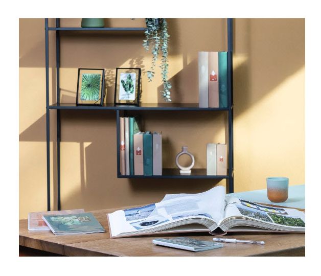Singo II 
