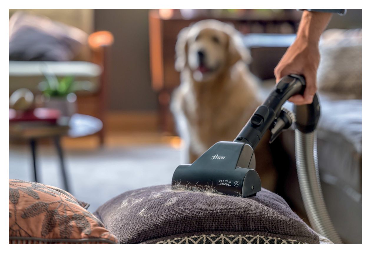 HE720PET Bodenstaubsauger mit Staubbeutel 850 W EPA  (Schwarz) 