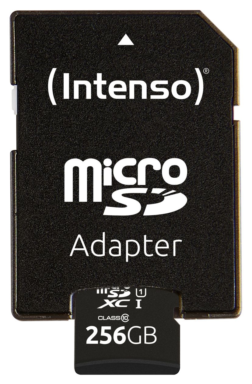 3424492 Performance MicroSD Speicherkarte 256 GB Class 1 (U1) Klasse 10 