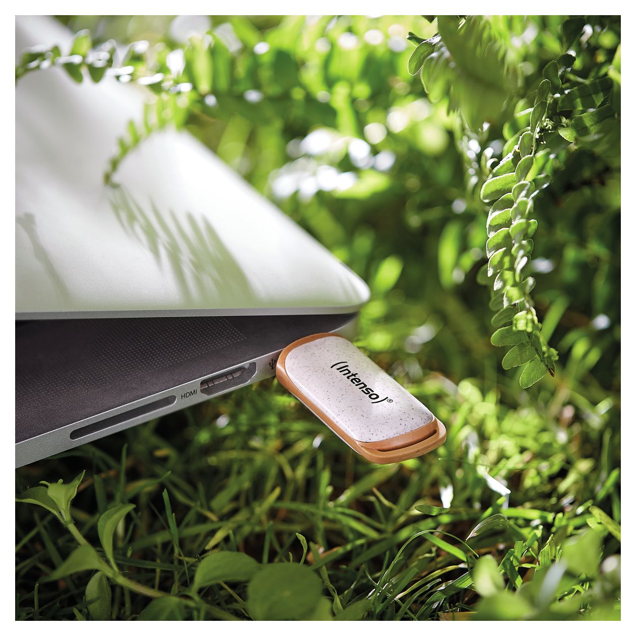 Green Line USB Typ-A Stick 128 GB  (Beige, Braun) 