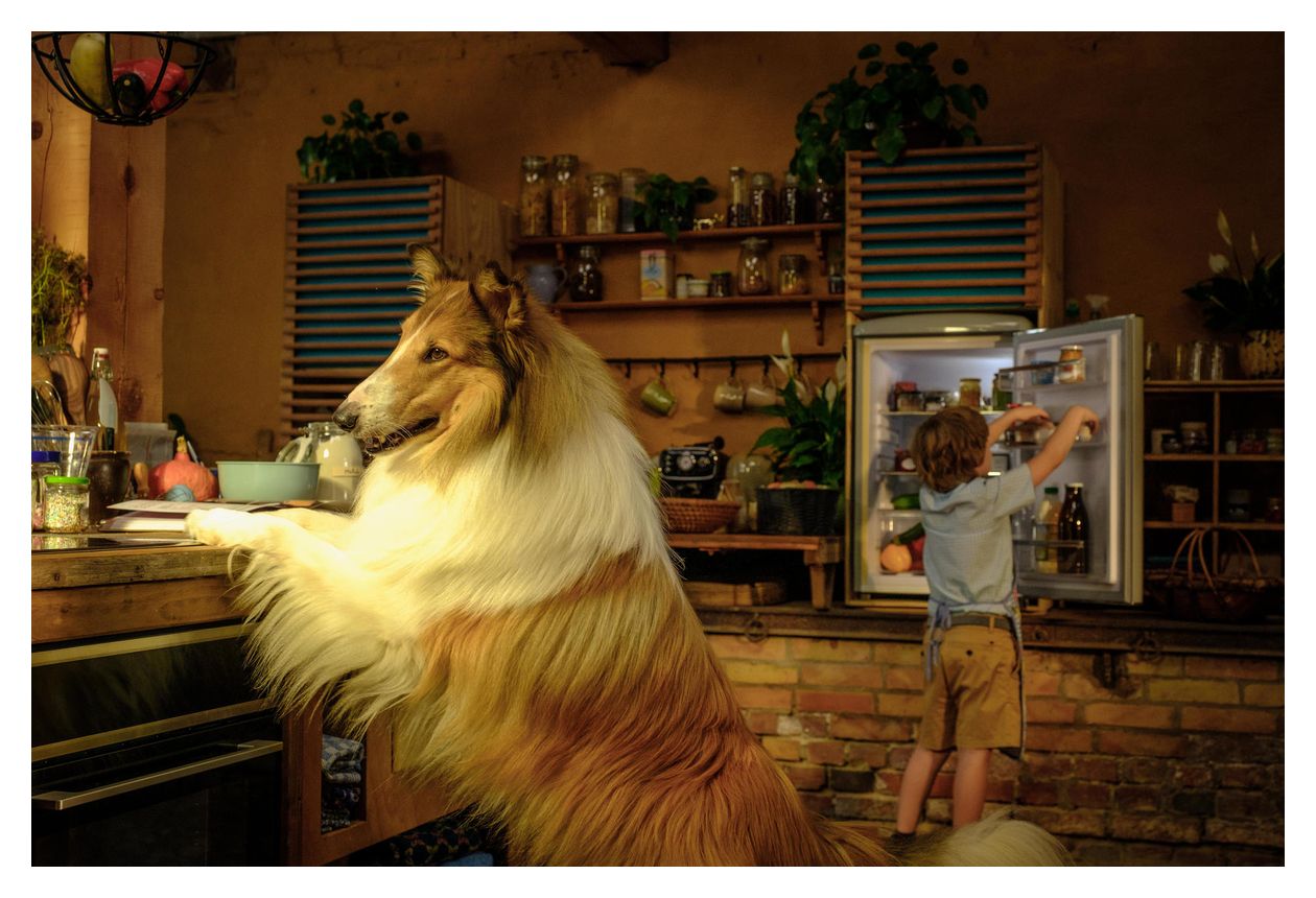 Lassie - Ein neues Abenteuer (DVD) 