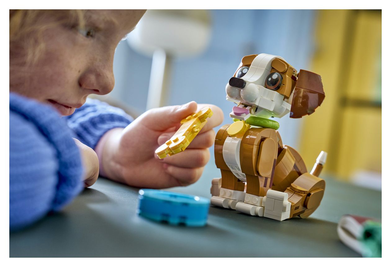 Niedliche Tiere: Verspielter Welpe 