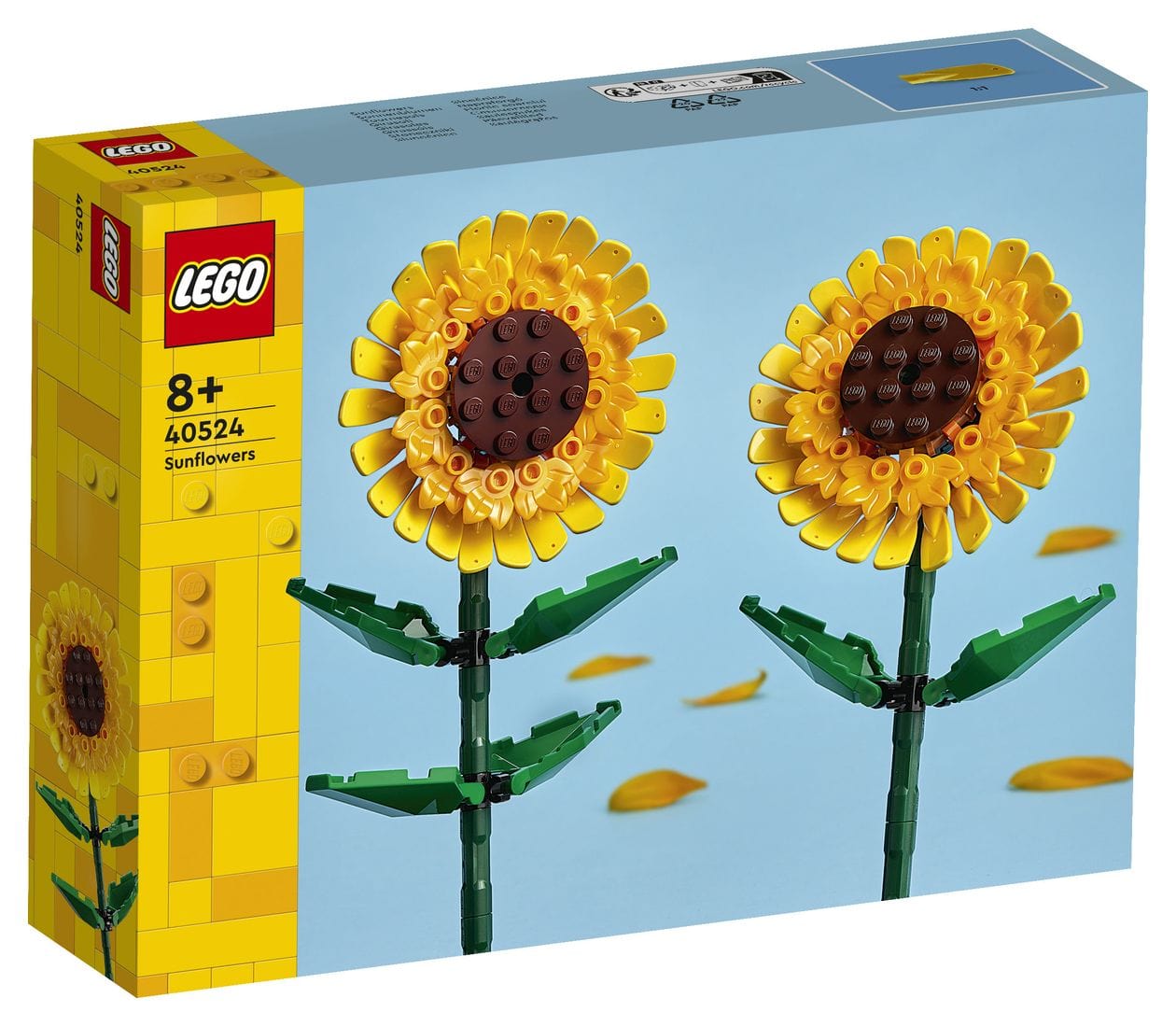 Sonnenblumen 
