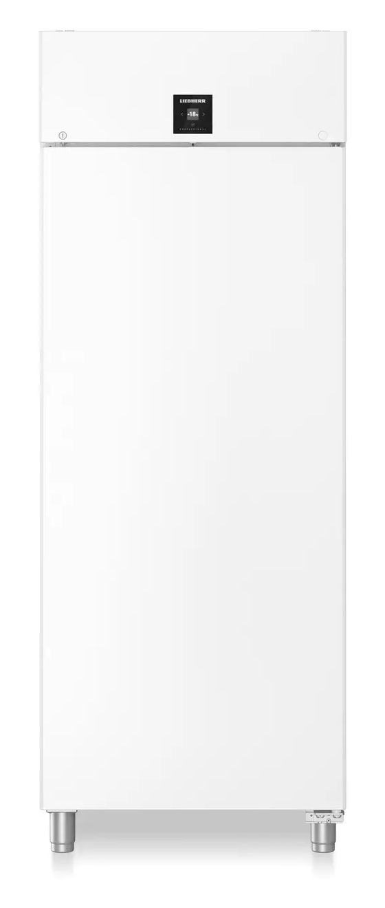 BFPvg8401 Performance 700 l Gefrierschrank 1209 kWh Jahr  (Weiß) 