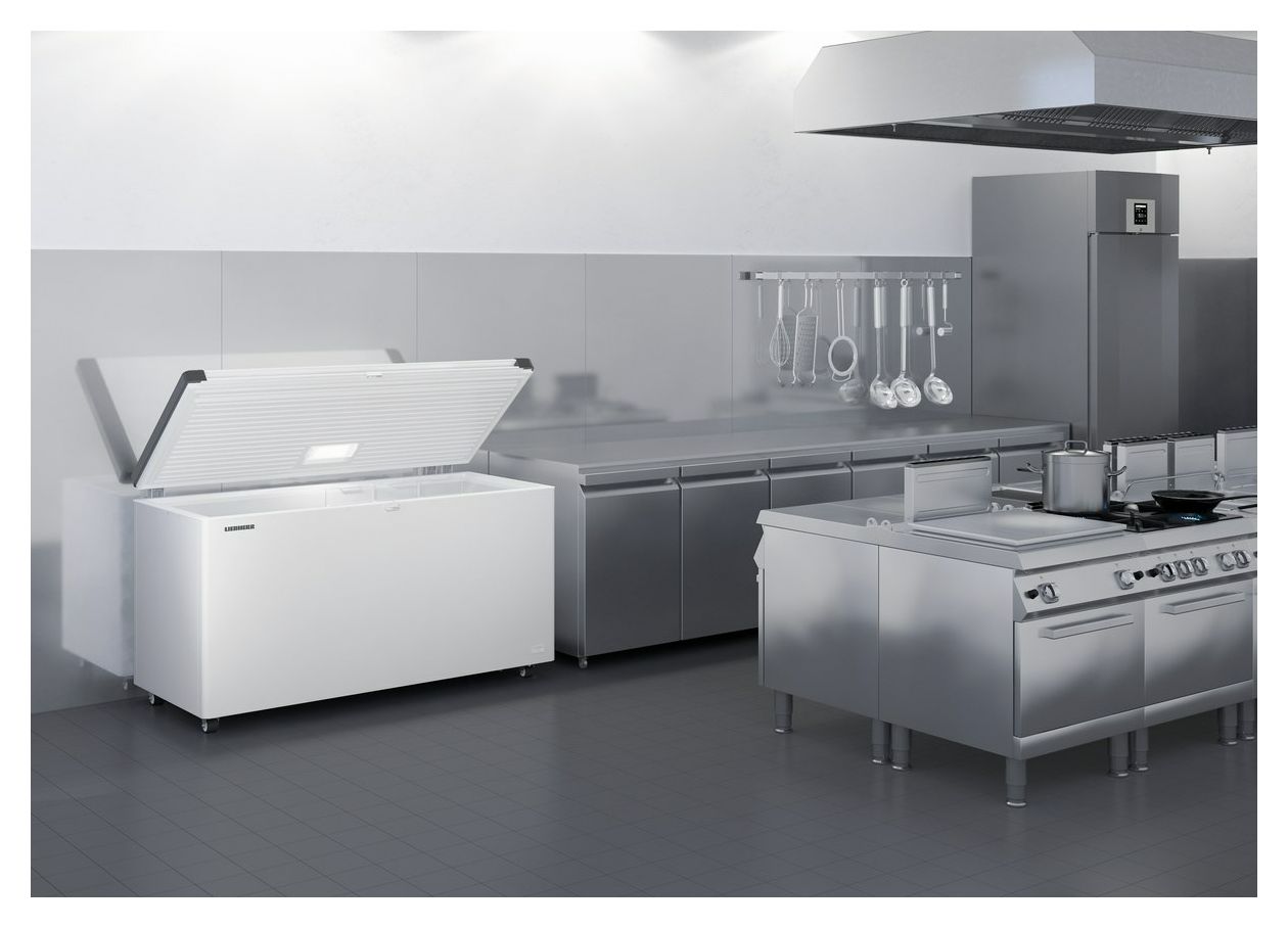 EFL4656-21 Tiefkühltruhe Freistehend 265 kWh Jahr 