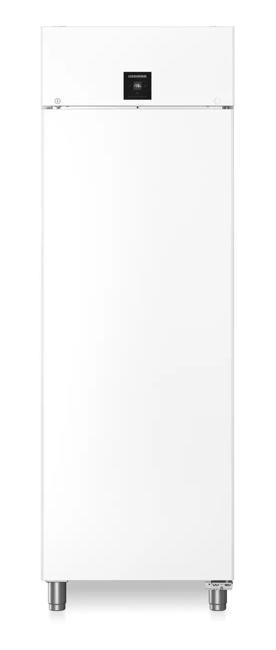 FFPvg6501 Performance 486 l Gefrierschrank 1180 kWh Jahr  (Weiß) 