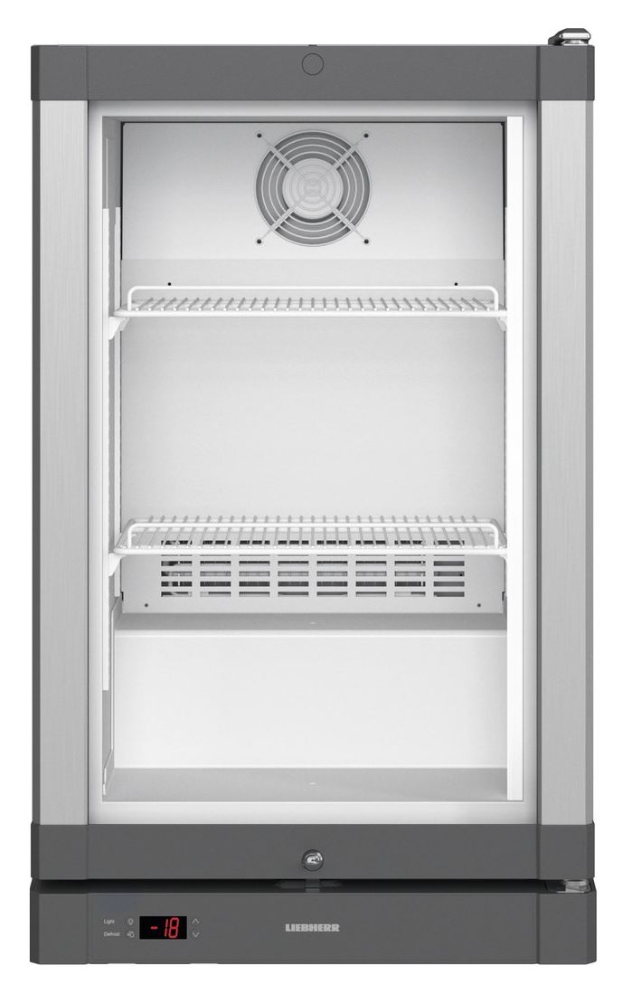 Fv913-41 Premium 66 l Gefrierschrank 1007 kWh Jahr  (Silber) 
