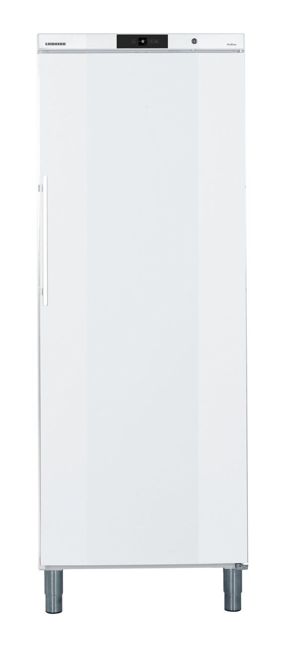 GGv5810-42 377 l Gefrierschrank 1351 kWh Jahr  (Weiß) 