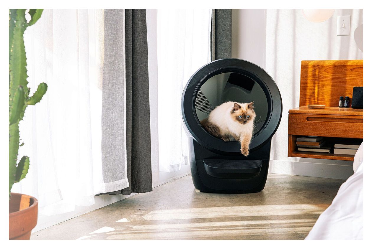 Litter Robot 4 