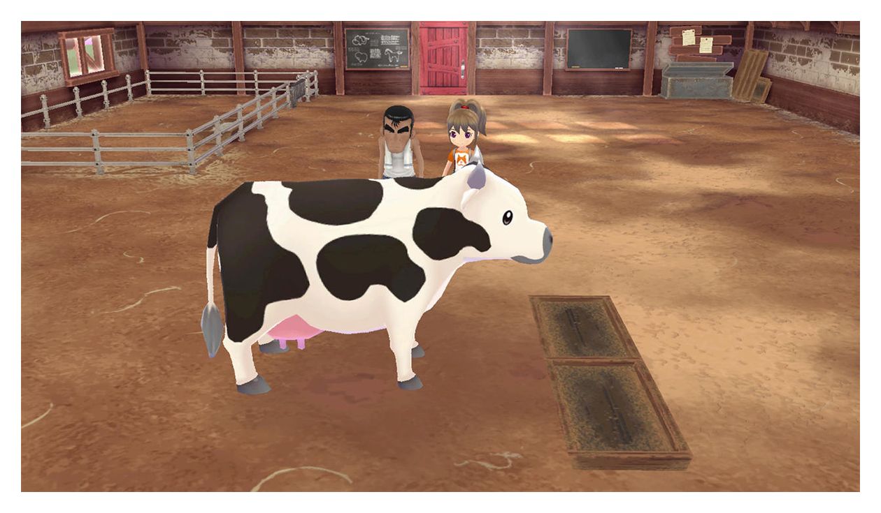 Story of Seasons: A Wonderful Life (Nintendo Switch) 