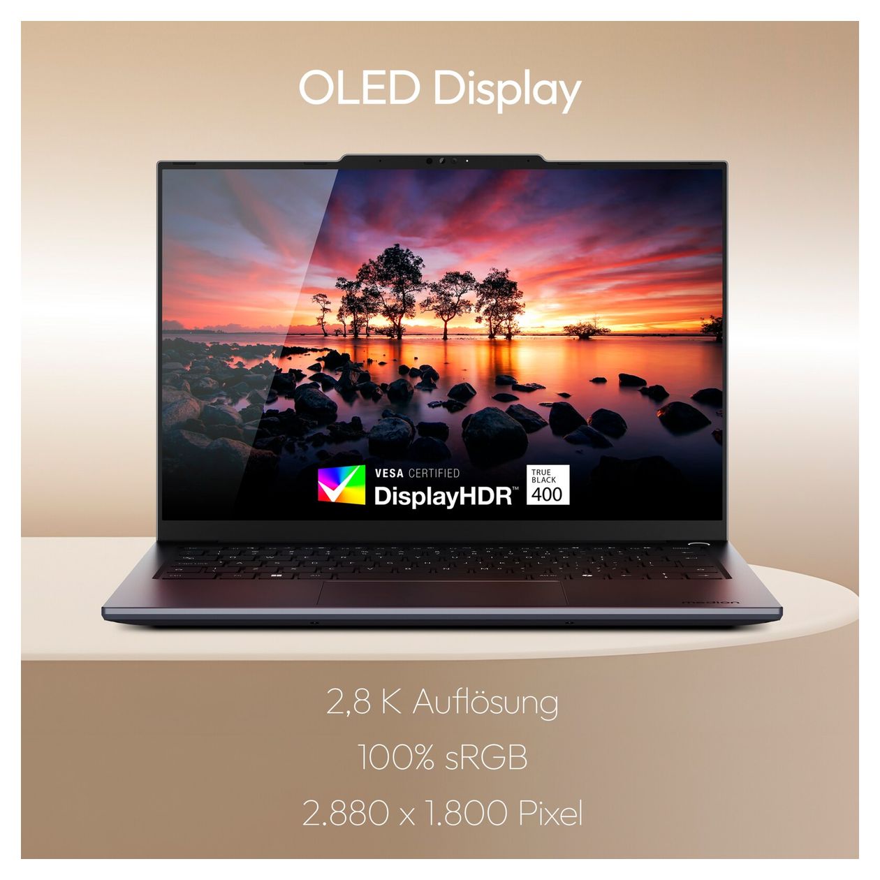 Signium 14S1 2K Ultra HD Notebook 35,6 cm (14 Zoll) 2880 x 1800 Pixel 16 GB Ram 512 GB SSD Windows 11 Home Intel Core 5 max. 5 GHz  (Schwarz) 