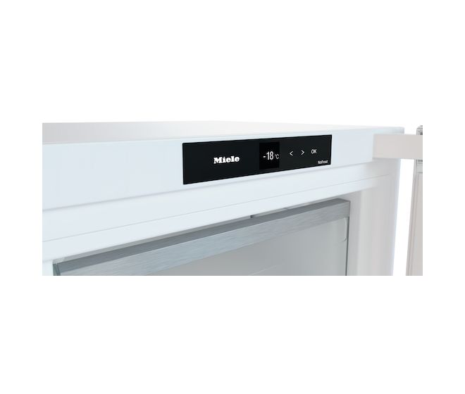 FN4322D 200 l Gefrierschrank 176 kWh Jahr NoFrost  (Weiß) 