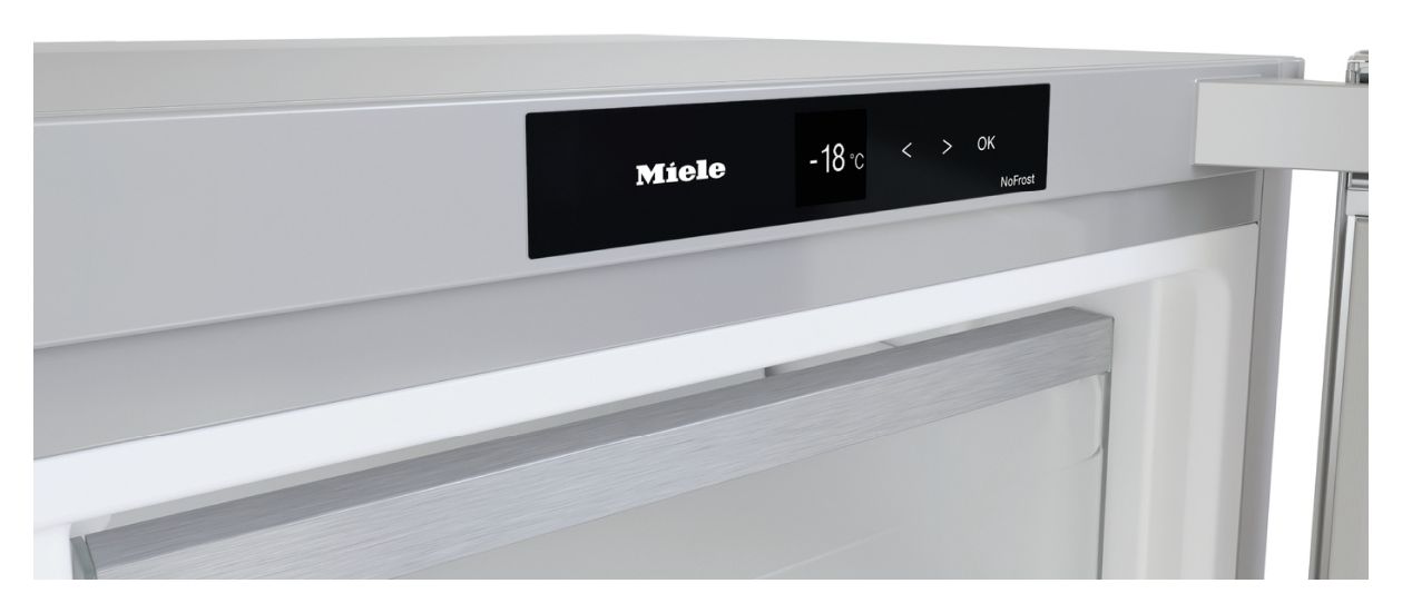 FNS4382E 278 l Gefrierschrank 248 kWh Jahr NoFrost  (Silber) 