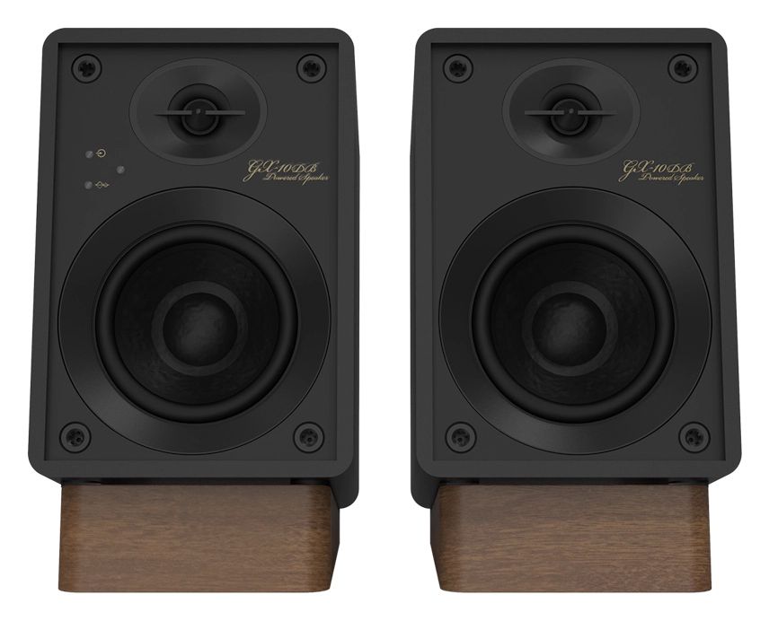 GX-10DB 30 W Bluetooth Lautsprecher  (Schwarz) 