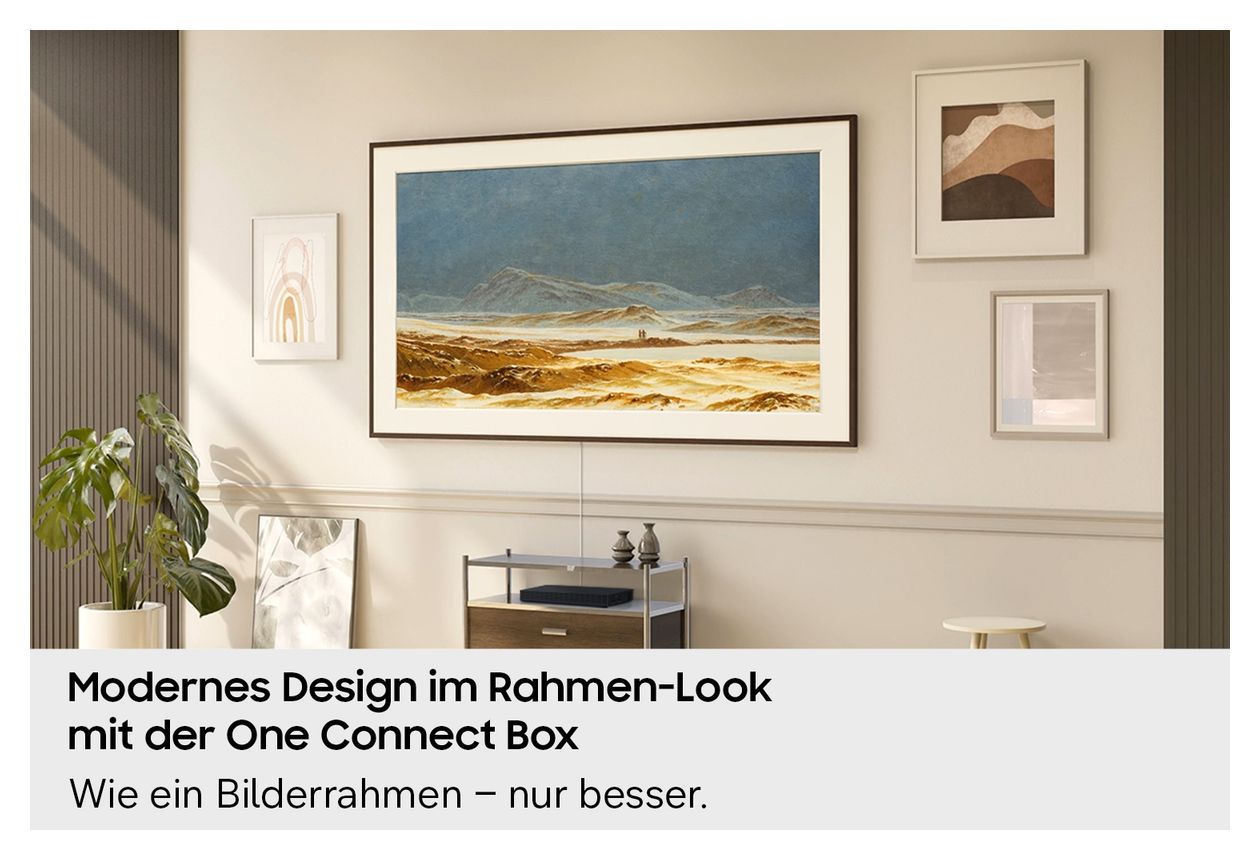 GQ55LS03HAUXZG The Frame Fernseher 