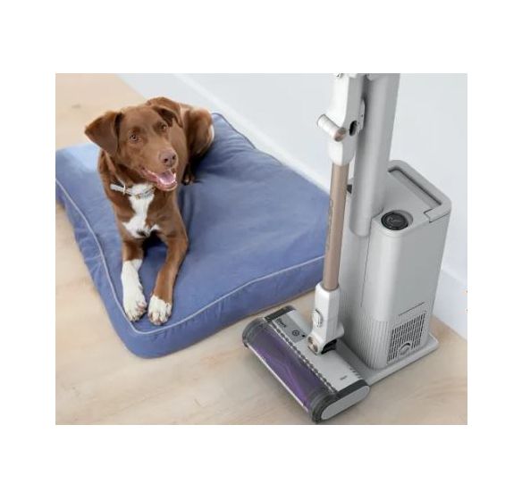 IW3612EUT Detect Clean & Empty Handstaubsauger Beutellos bis 60 min Laufzeit  (Weiß) 