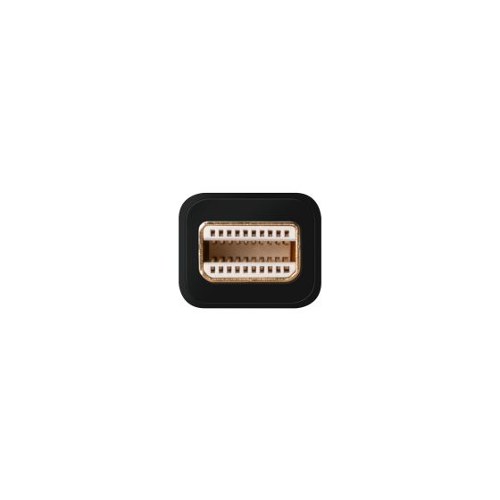 CN-345 Mini DisplayPort to VGA Adapter 