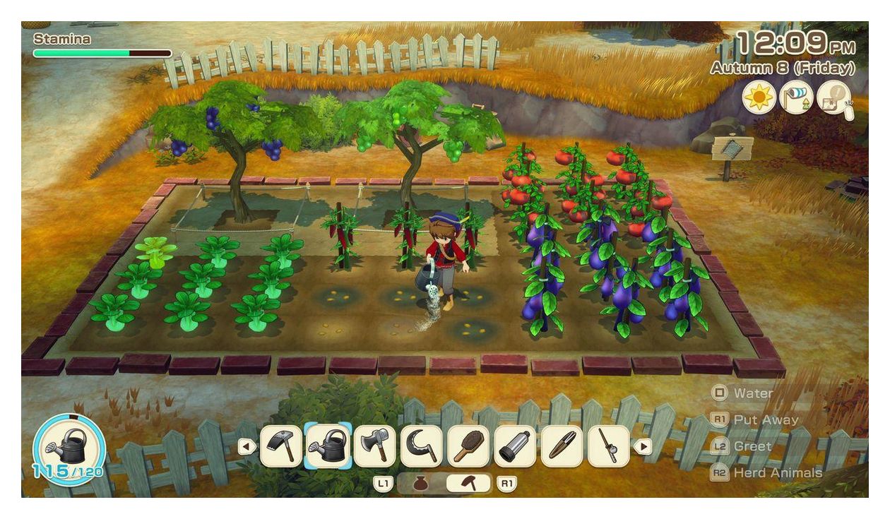Story of Seasons: Grand Bazaar (PlayStation 5) 