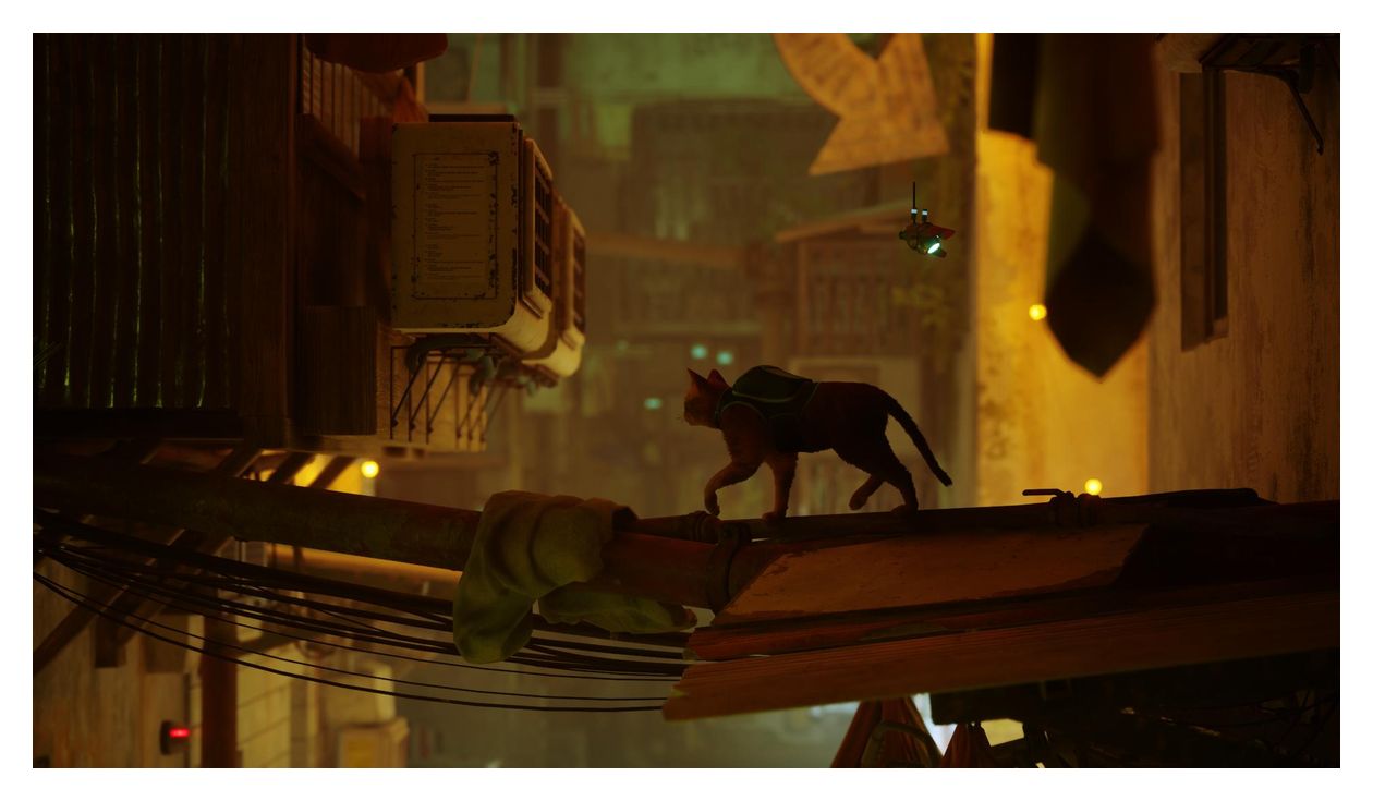 Stray (PlayStation 5) 
