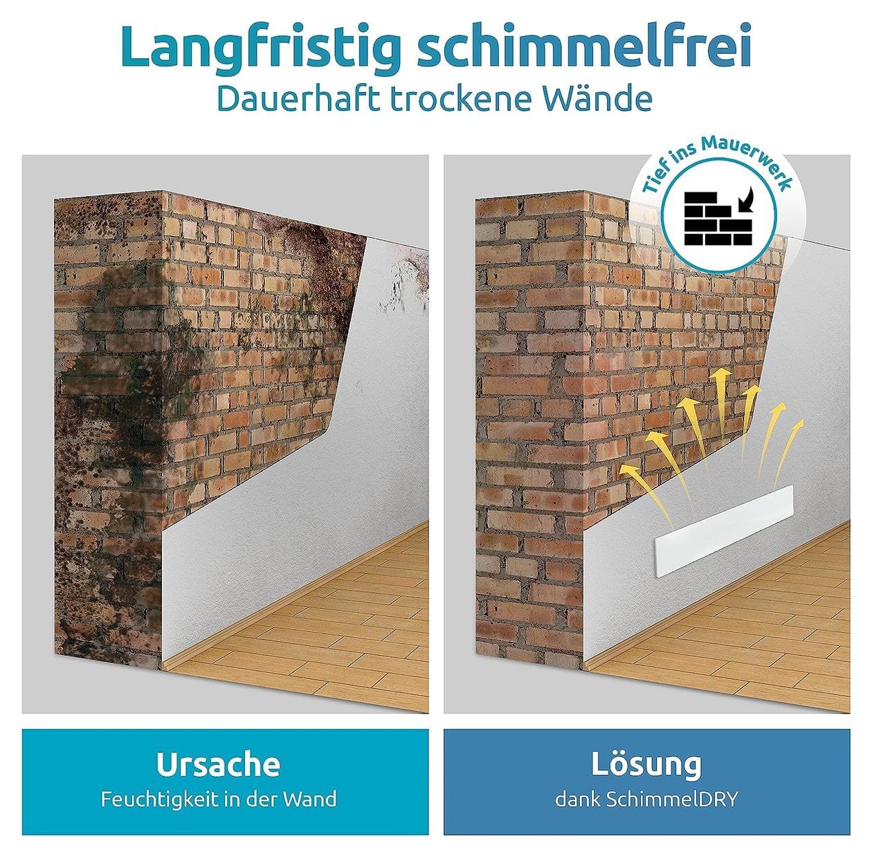 Schimmel Dry M2 Erweiterung Wand 