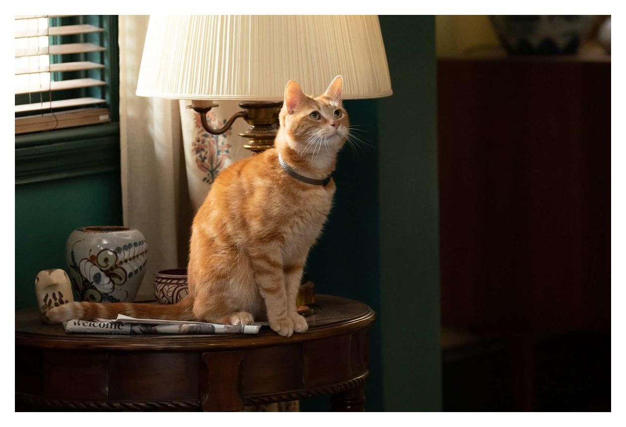 The Marvels (Blu-Ray) 