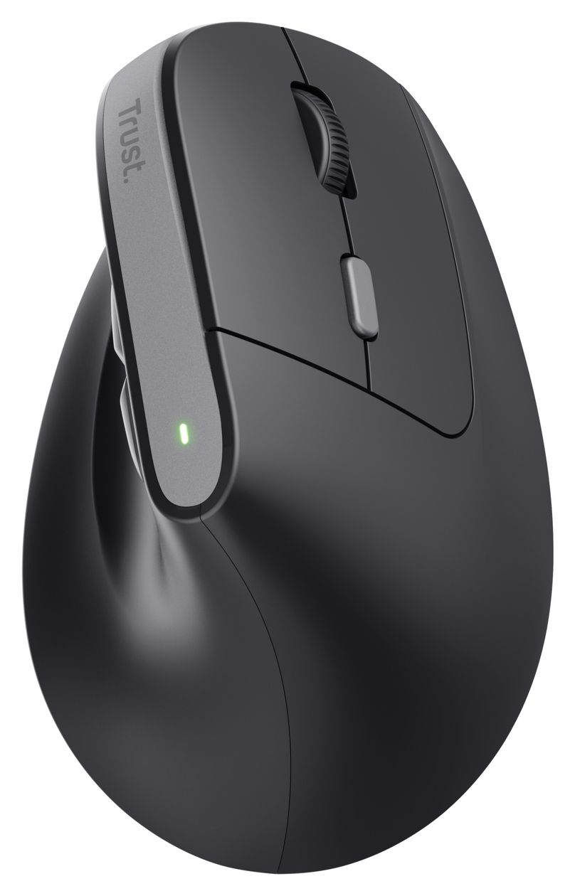 Bayo II Wireless 2400 DPI Medizinisch Maus Optisch  (Schwarz) 