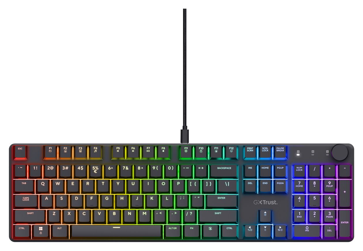 GXT866 Torix LED Gaming Tastatur USB  (Schwarz) 
