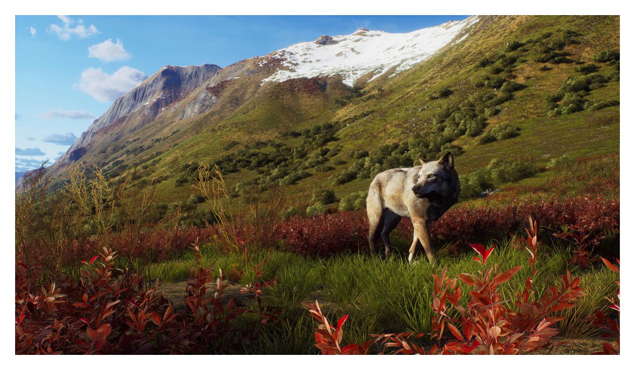 Way of the Hunter - Wild Expeditions (PlayStation 5) 