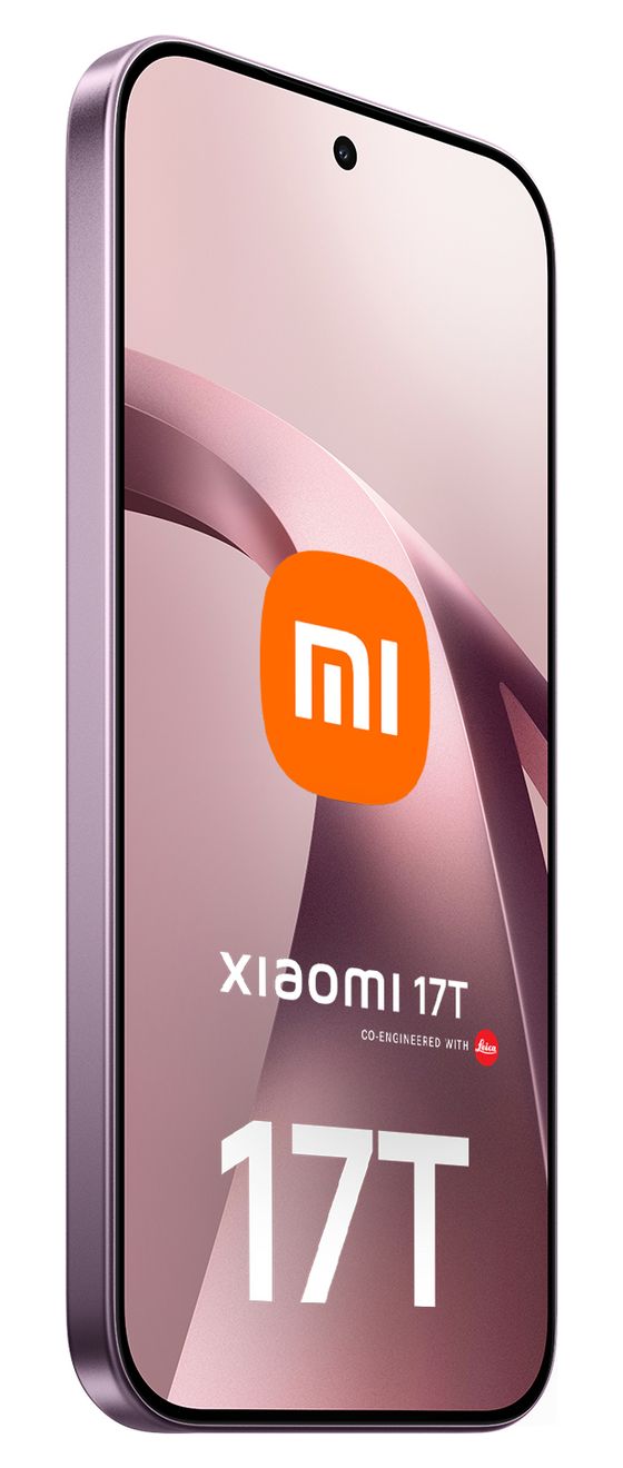 17T 