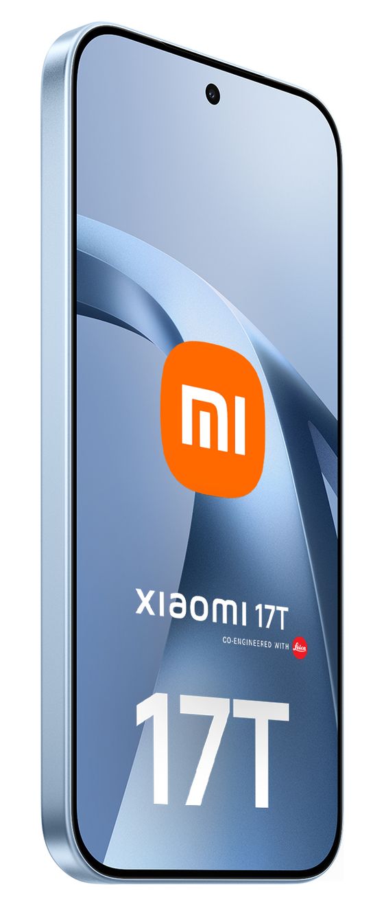17T 