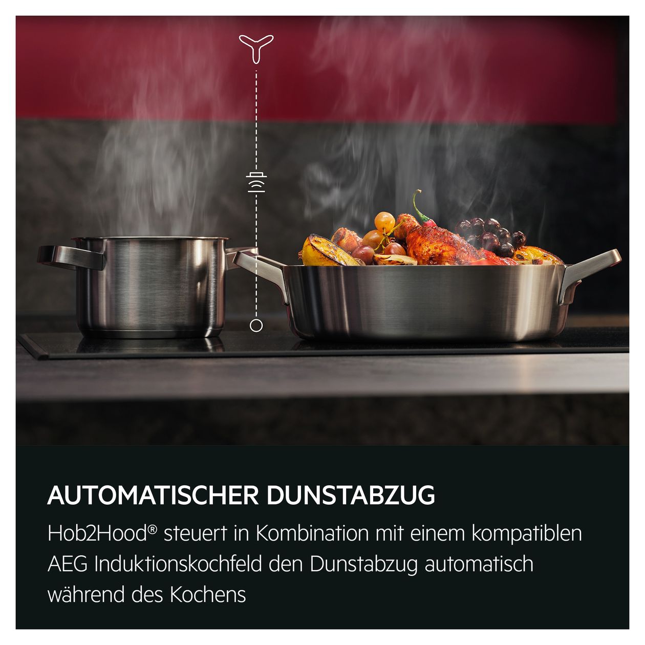 TP66D61HZ Abluft/Umluft Dunstabzugshaube/Esse Einbau 60 cm (Schwarz) 