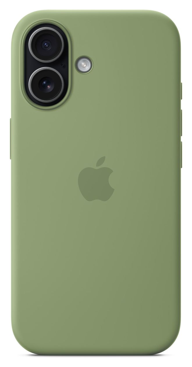Silikon Case mit MagSafe Cover für Apple iPhone 17  (Grün) 