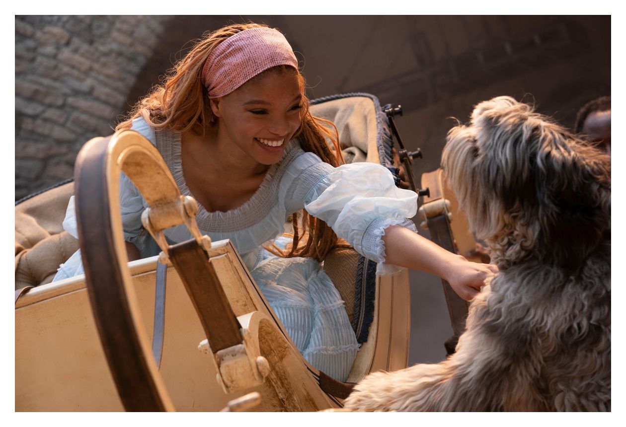 Arielle die Meerjungfrau (Blu-Ray) 