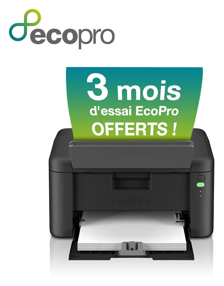 HL-L1240W A4 Laser Drucker 20 Seiten pro Minute 