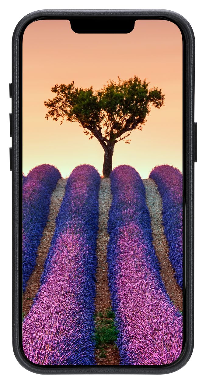 Roskilde Cover für Apple iPhone 17e/16e  (Schwarz) 