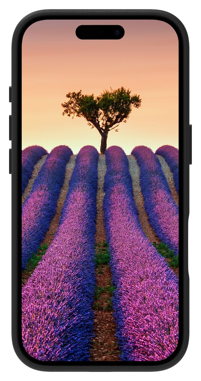 Roskilde MS Cover für Apple iPhone 17  (Schwarz) 