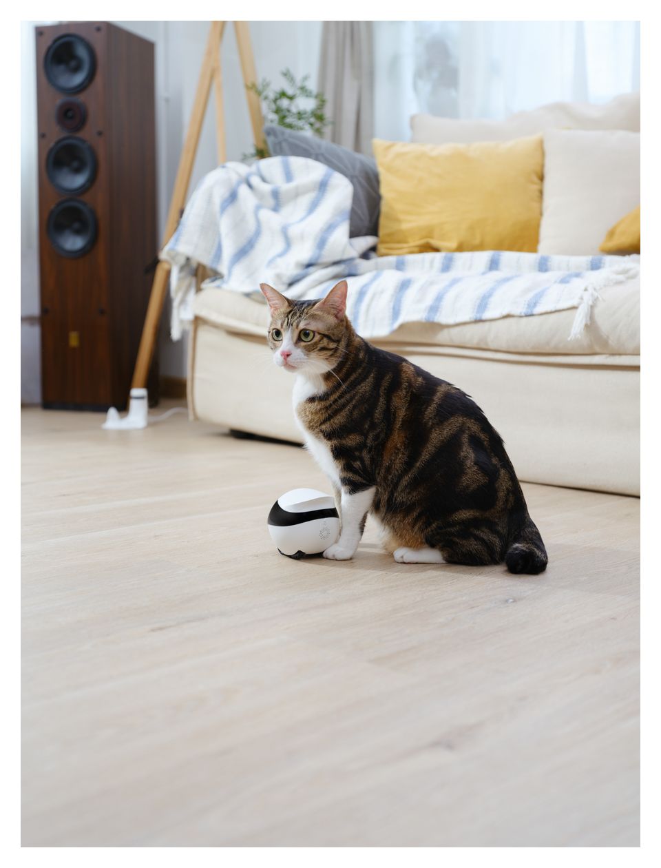 Ebo SE  (Schwarz, Weiß) 