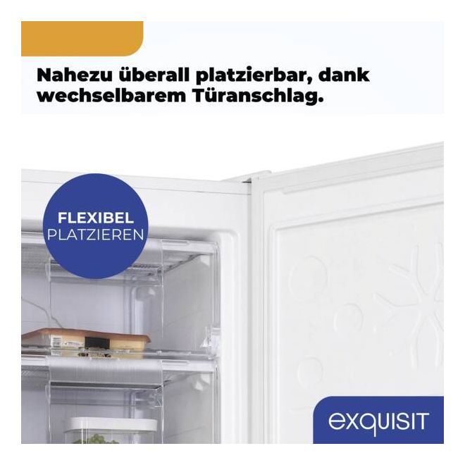 GS230-H-050C 177 l Gefrierschrank 123 kWh Jahr  (Weiß) 