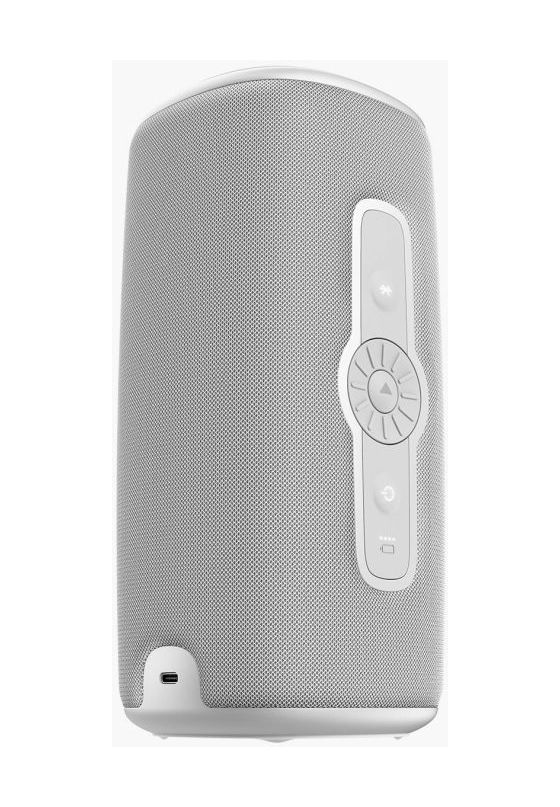 Rockbox Bold L3 40 W Bluetooth Lautsprecher IP67 Laufzeit bis 25 h  (Grau) 