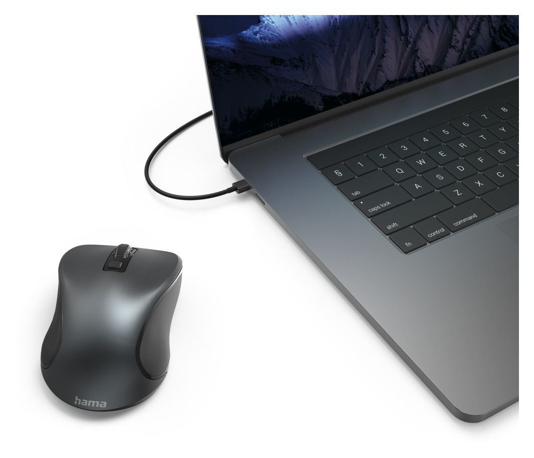 182643 Canosa 1600 DPI Büro Maus Optisch  (Anthrazit) 