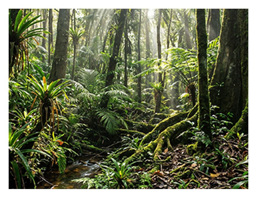 OmniBook 3 16-bu0650ng 2K Ultra HD Notebook 40,6 cm (16 Zoll) 1920 x 1200 Pixel 16 GB Ram 512 GB SSD Windows 11 Home Intel Core 5 max. 5 GHz intern  (Silber) 