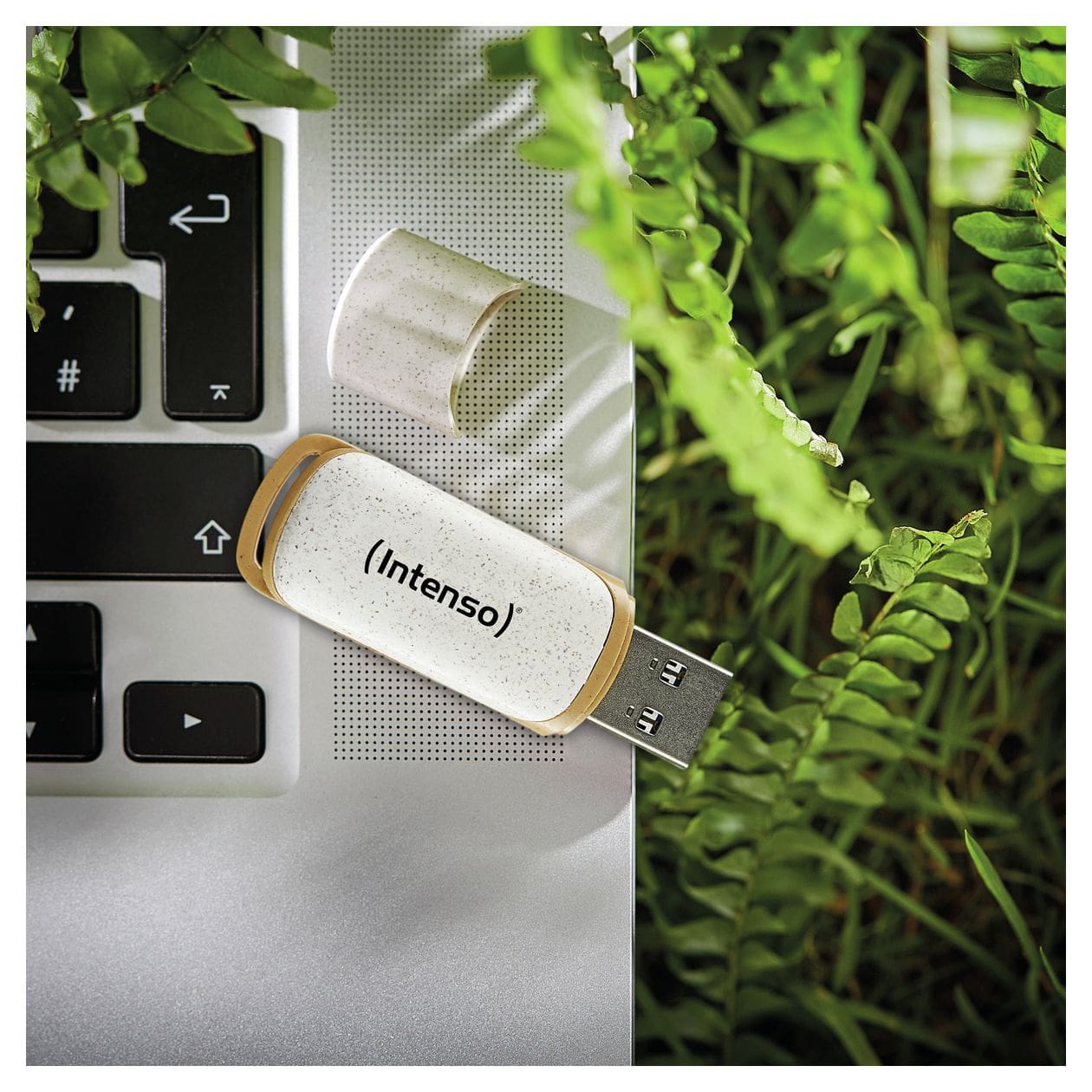 Green Line USB Typ-A Stick 128 GB  (Beige, Braun) 