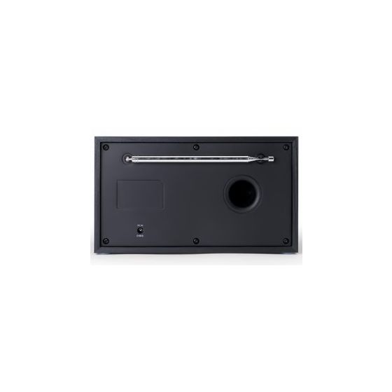 DAB Radio 25EX Bluetooth DAB+, PLL Radio Tragbar  (Schwarz) 