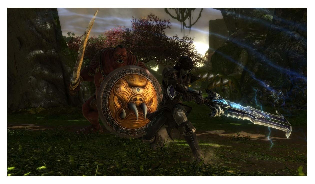 Kingdoms of Amalur Re-Reckoning (Nintendo Switch) 