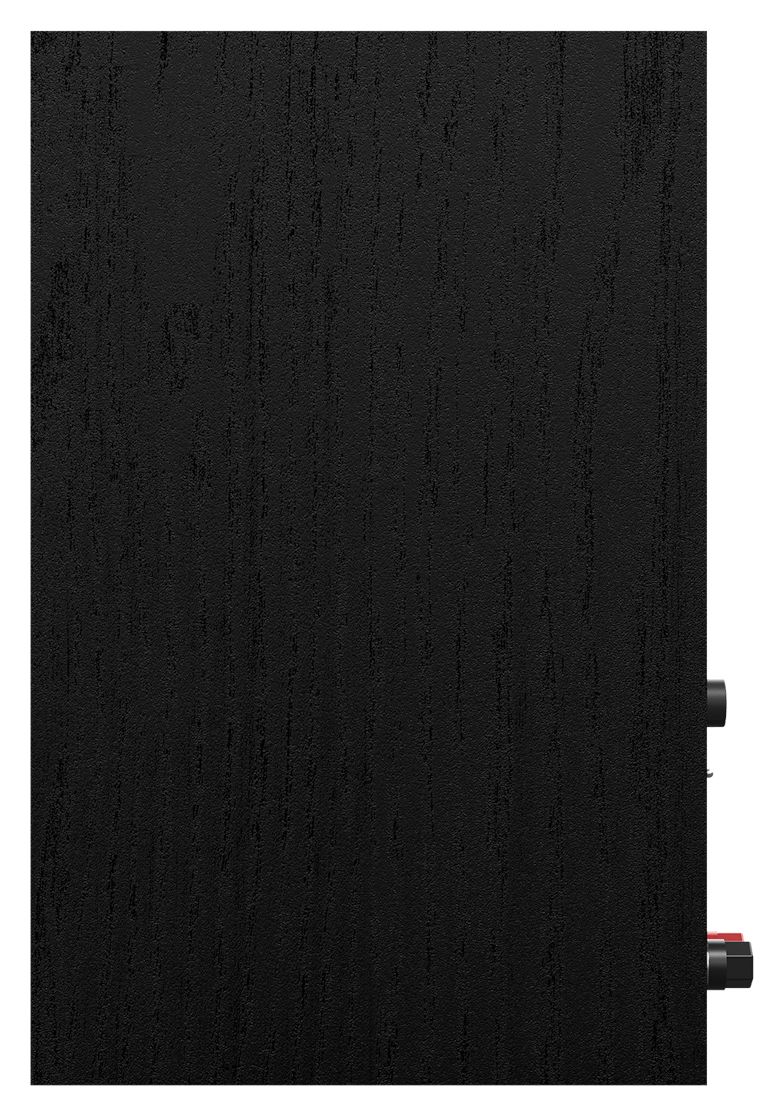 R-40PM Bluetooth Lautsprecher  (Schwarz) 