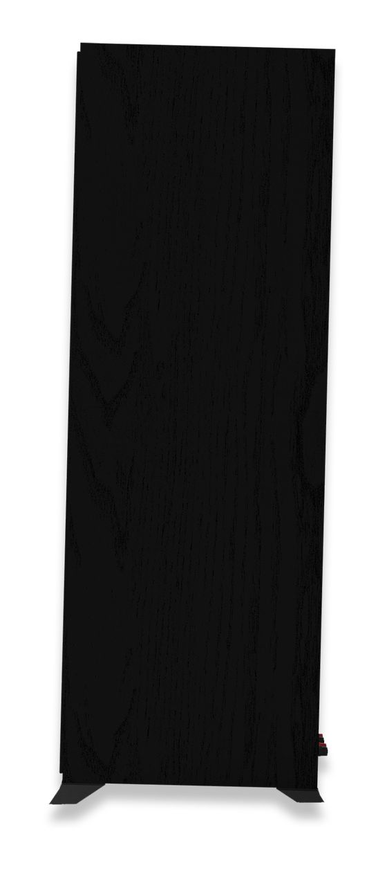 R-600F 400 W 2-Wege Lautsprecher  (Schwarz) 