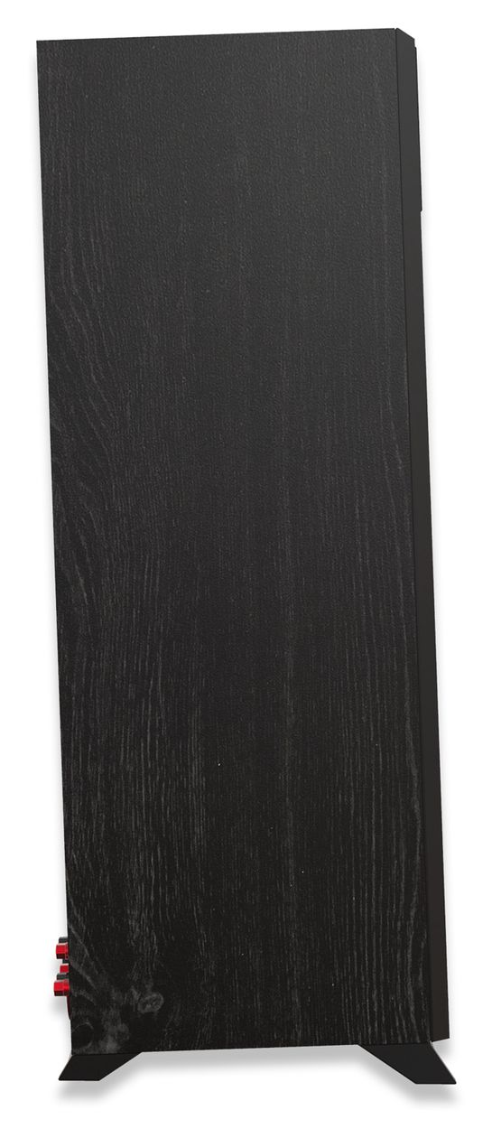 RP-5000F II 100 W 2-Wege Lautsprecher  (Schwarz) 