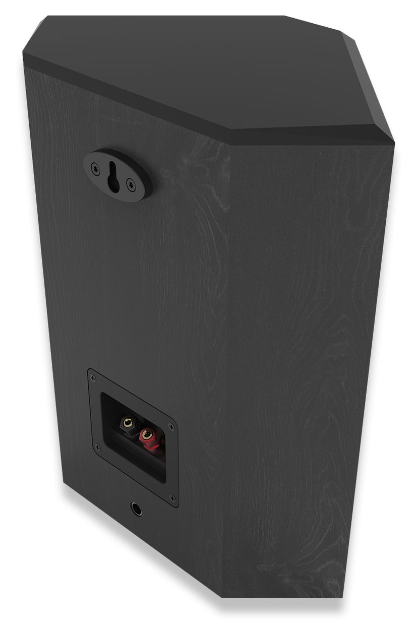 RP-502S II 100 W 2-Wege Lautsprecher  (Schwarz) 